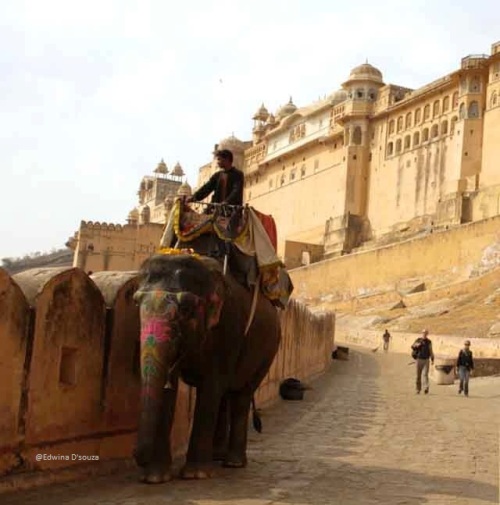 Optional elephant rides upto Amber Fort